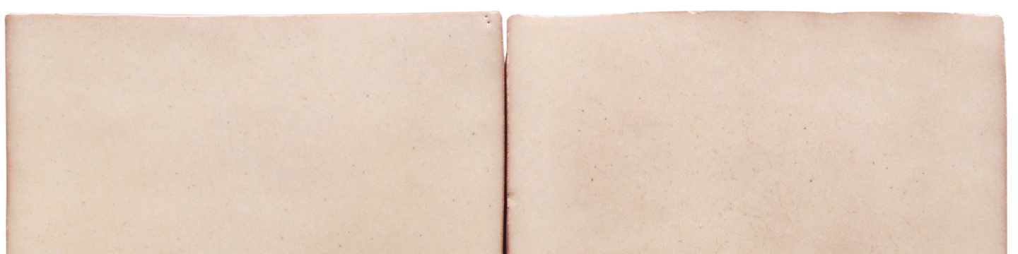 Zelij CEM14 - Hueso, Mate, 5x20cm, 10.00mm, Not rectified