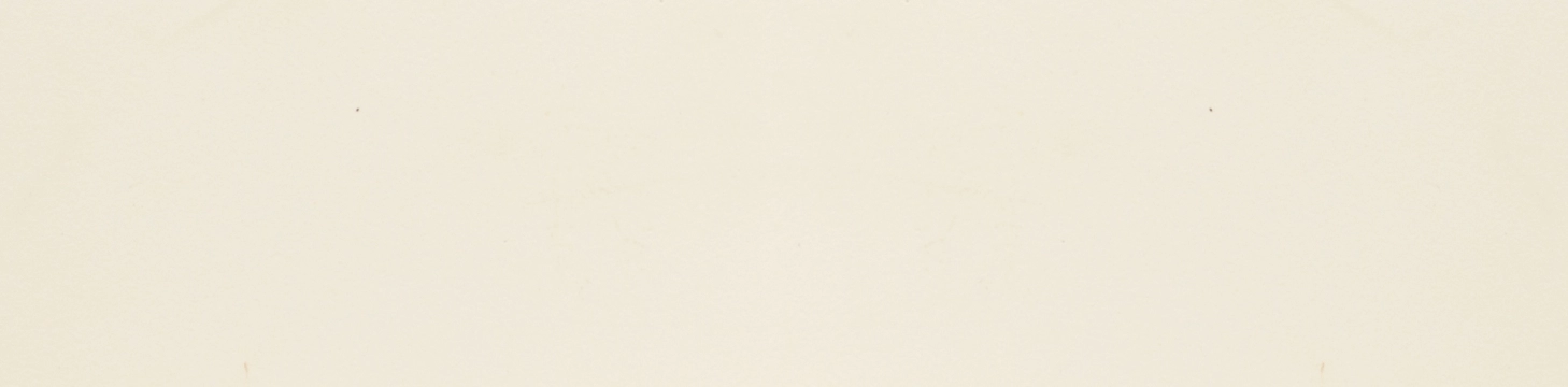 Manhattan LB25 - Bone, Mate, 6.3x25.5cm, 8.00mm, Not rectified