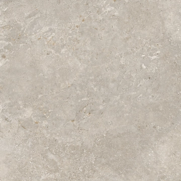 Roden Beige, Natural, 60.8x60.8cm, 10.00mm, Not rectified