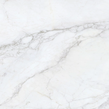 Bellini 300000000000054342 - Salvia, Polished, 120x120cm, 10.20mm, Rectified