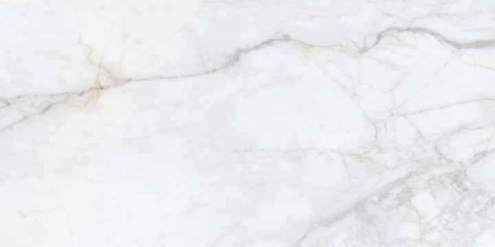 Bellini 300000000000054346 - Salvia, Polished, 60x120cm, 10.50mm, Rectified