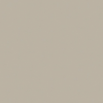 Proyeccion XD5710 - Gris, Matt, 45x45cm, 8.80mm, Rectified