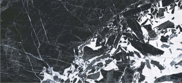 The Wild Spirit - Noir Antique, Polished, 59.6x119.2cm, 9.00mm, Rectified