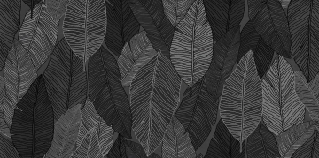 Crea-la XILEMA6 12 - Xilema, Matt, 60x120cm, 6.50mm, Rectified
