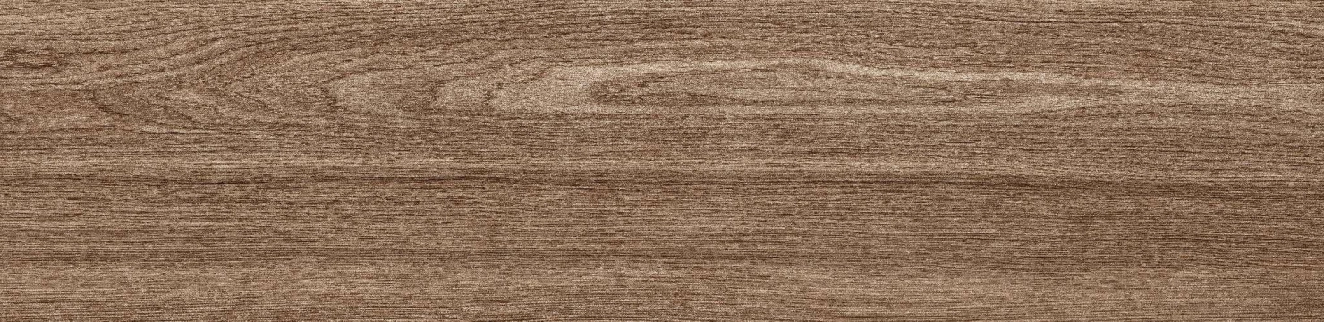 Amazon - Brown, Naturale, 22x90cm, 10.00mm, Rectified