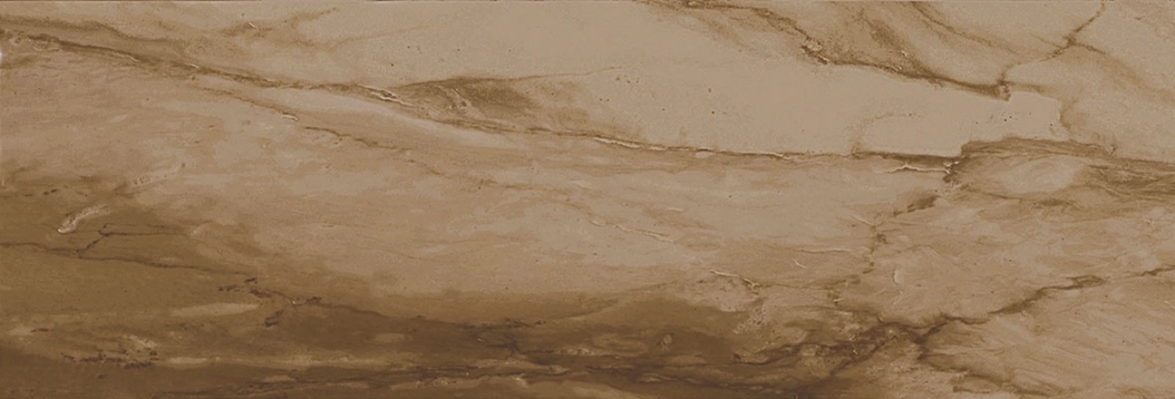 Venus Visone, Lucido, 25x75cm, 9.00mm, Rectified