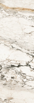 Linea Endless Chain B251030LED2P6D - Breccia Capraia D, Polished, 100x300cm, 5.50mm, Not rectified