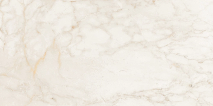 Linea Endless B25510LED2PB - Breccia Capraia, Smooth, 50x100cm, 5.50mm, Not rectified