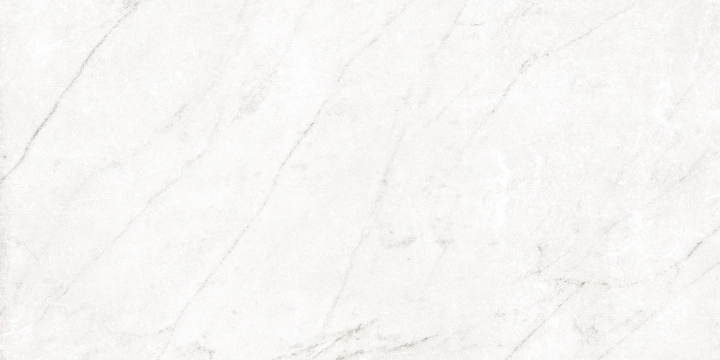 Centuries - Pisa, Antique, 30x60cm, 8.50mm, Rectified