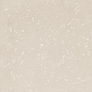 Barro 8431940424953 - Beige, Naturale, 99.55x99.55cm, 10.00mm, Rectified