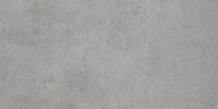 Serenastone 172500020313 - Silver, Matt, 60x120cm, 10.00mm, Rectified
