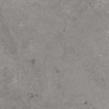 Serenastone 172400020317 - Gray, Antislip, 60x60cm, 10.00mm, Rectified