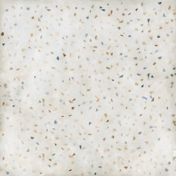 Cera RG05 - Scaglie Multicolor, Matt pro, 120x120cm, 9.00mm, Rectified
