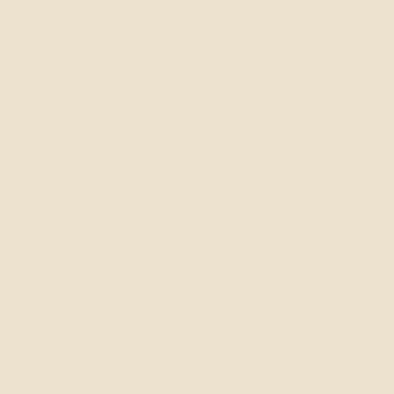 Play OC50 - Beige, Matt, 60x60cm, 9.00mm, Rectified