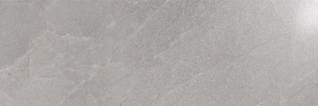 Terra Gris, Glossy, 20x60cm, 10.00mm, Not rectified