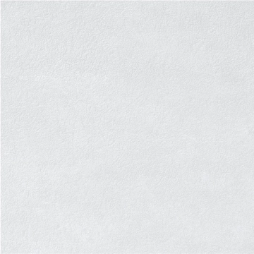 Neutral Blanco, Satin, 60x60cm, 10.00mm, Not rectified