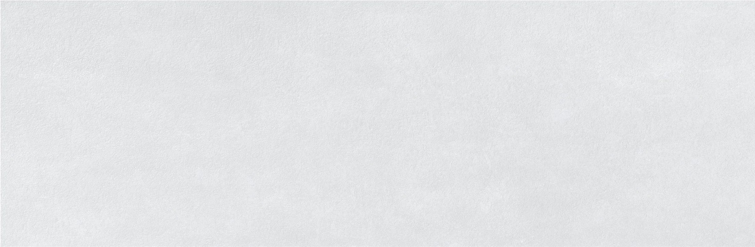 Neutral Blanco, Satin, 40x120cm, 10.00mm, Rectified